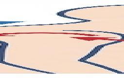 肩こりはマッサージだけでは治らない！その原因とは